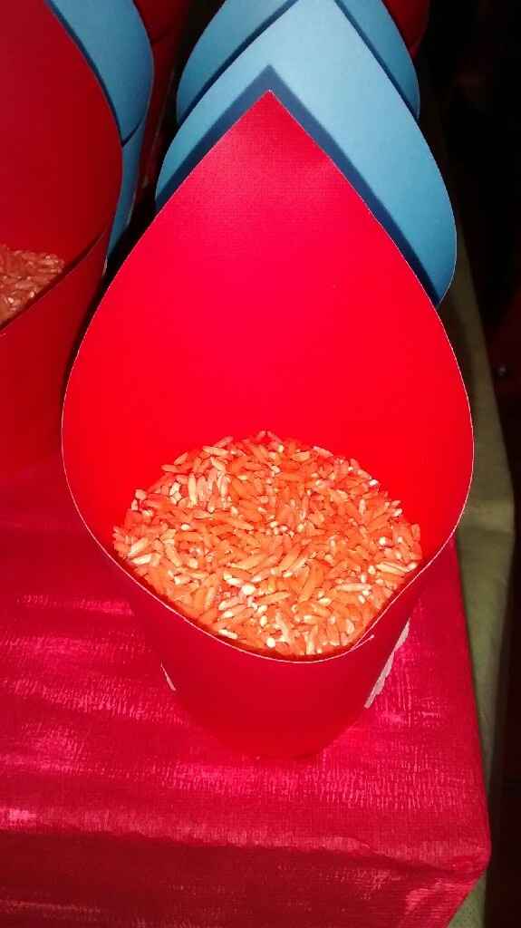 Mis conos de arroz - 4