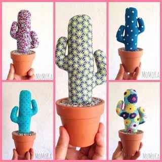 Cactus para souvenir - 1