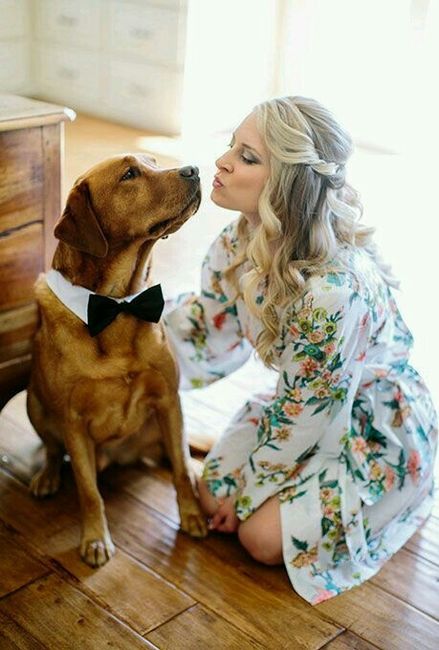 Ideas para incluir a las mascotas <img class=