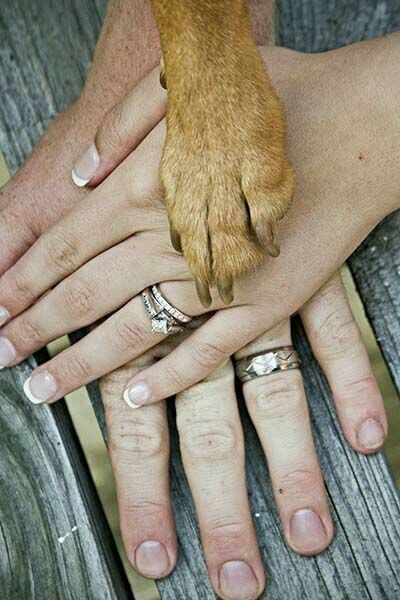 Ideas para incluir a las mascotas <img class=