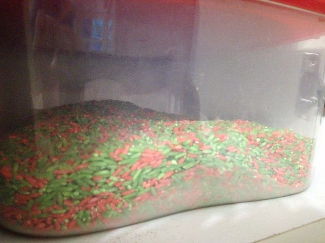 arroz teñido