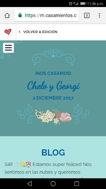 Web de casamiento! 9