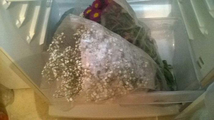 compre flores gypsophilas y reina margaritas para los centros de mesa. estan refrigerados en la hela