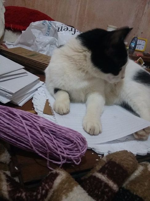 Mi bebé ayudando