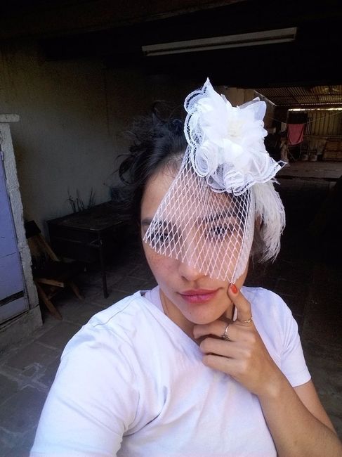 Mi velo birdcage Diy