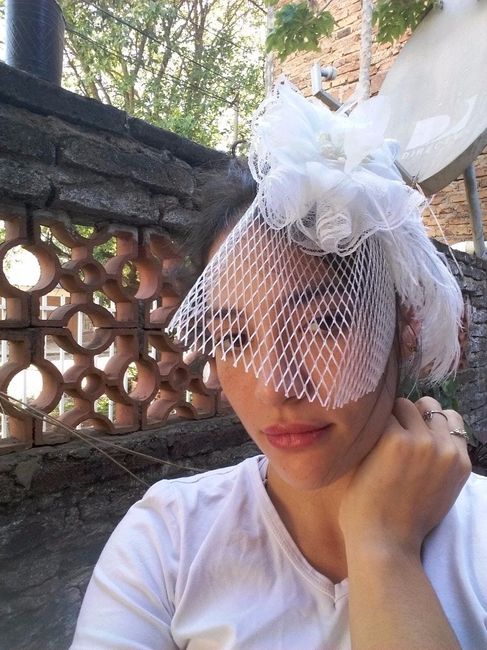 Mi velo birdcage Diy
