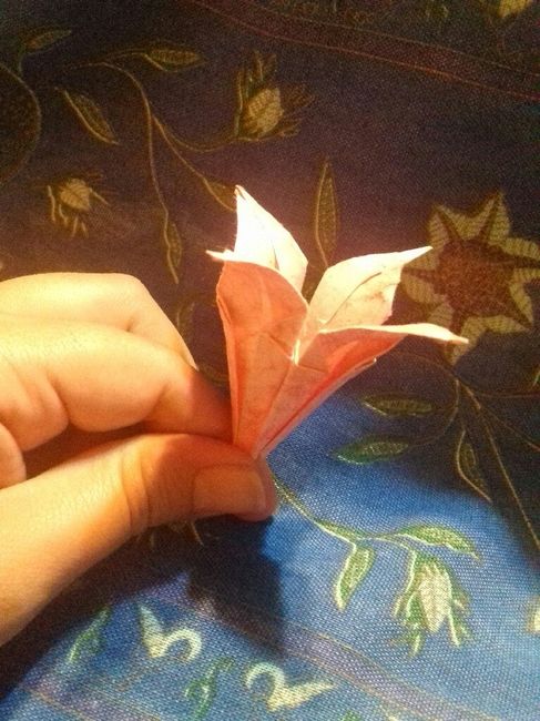 Flores diy - 2
