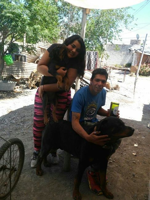 Felicidad ... todo va tomando forma ¡! 26