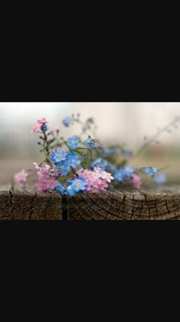 Flores azules por favor necesito ayuda chicas please - 2