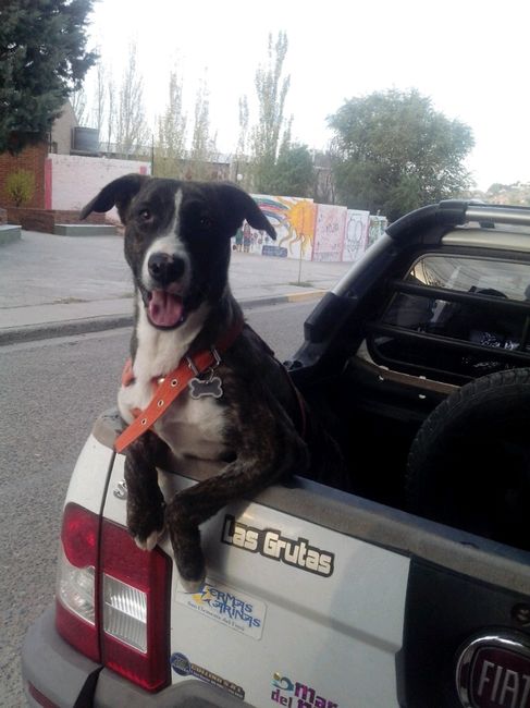 Hijos adoptivos - 2