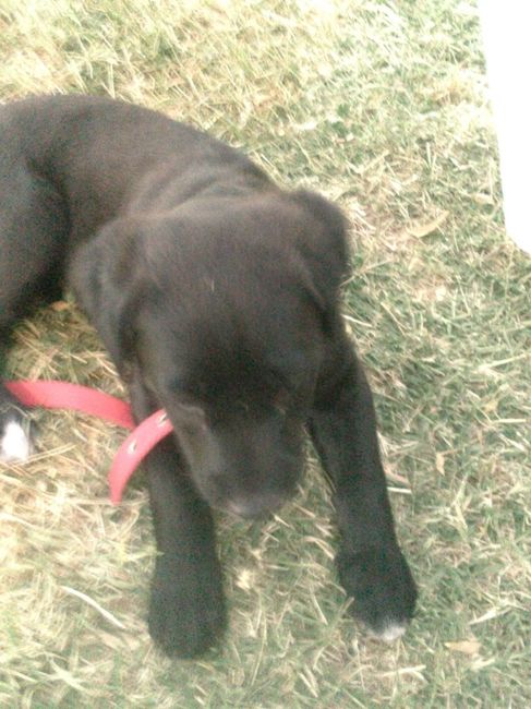 Hijos adoptivos - 3
