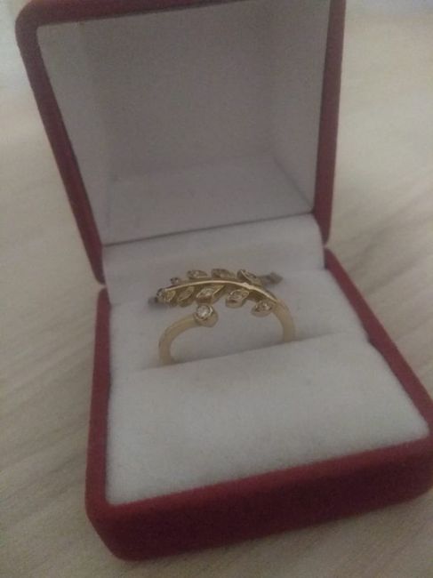 Ayuda anillo de propuesta de matrimonio 1