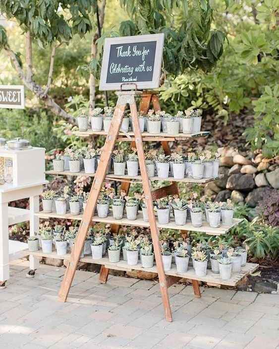 Plantas de Souvenir