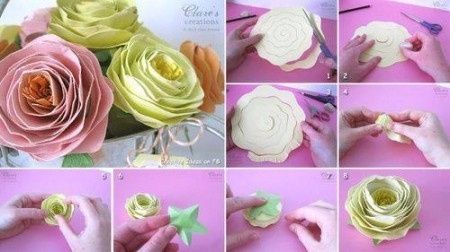 Rosas
