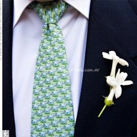 Corbata de novio casamiento