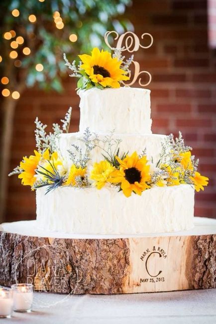 ¡7 Tortas rústicas y románticas para un casamiento campestre! 3