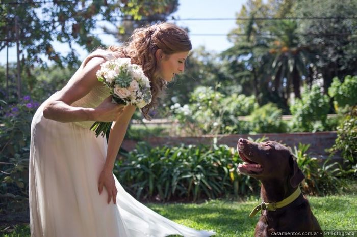 ¿Tus mascotas participan en tu matrimonio? Ten en cuenta estos TIPS!🐾 1