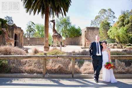 Casamiento estilo zoo