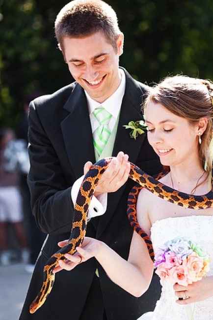 Casamiento estilo zoo