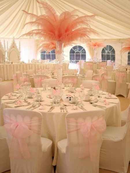 Casamiento con plumas