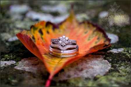 Casamiento en otoño