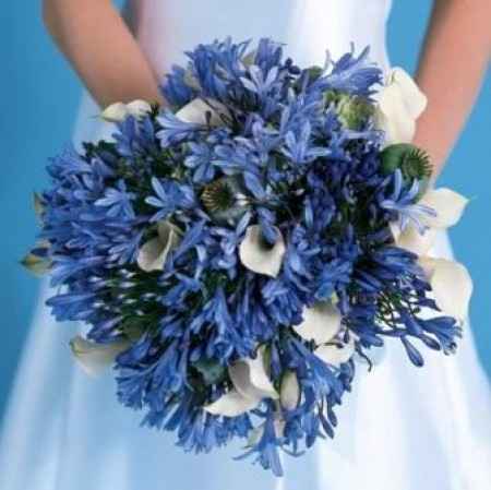 Casamiento blanco, plateado y azul