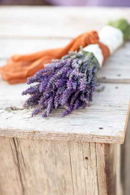 Casamiento con lavanda