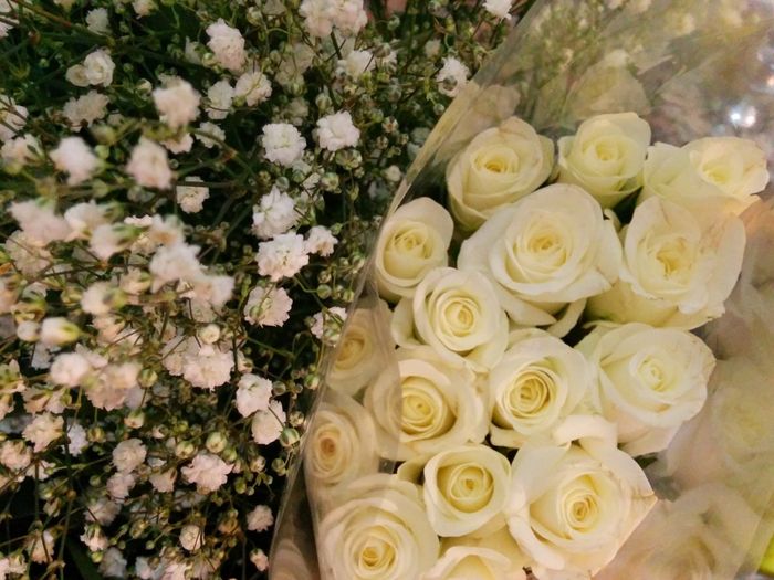 Rosas y gypsophilas