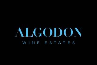 Algodón Wine Estates