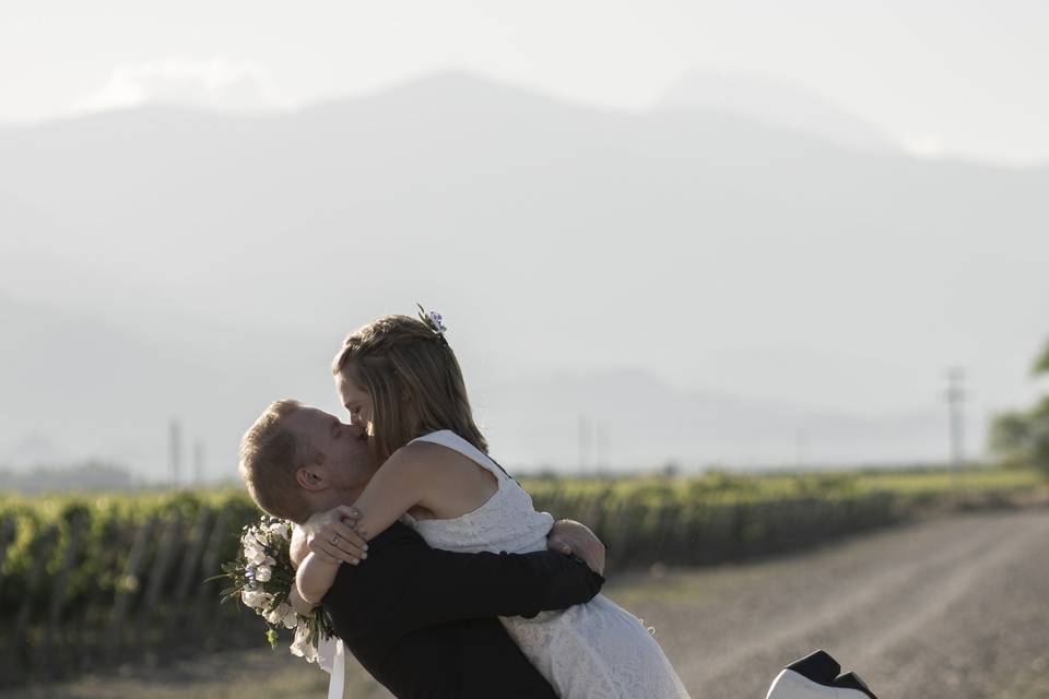 Boda y viñas