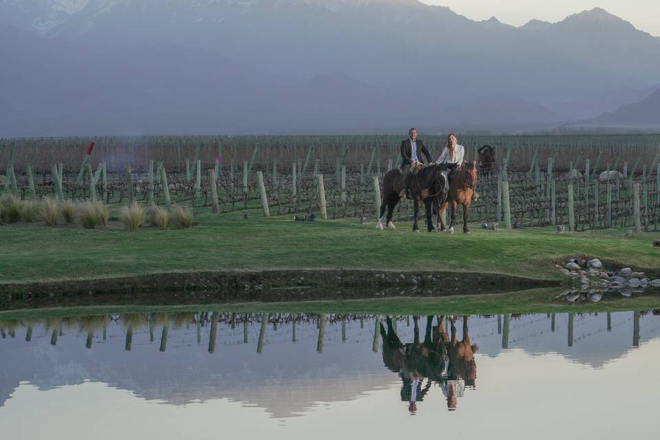 Fotos en The Vines - Mendoza