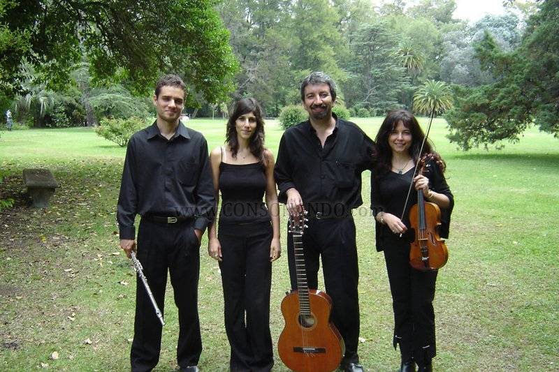 Cuarteto acústico