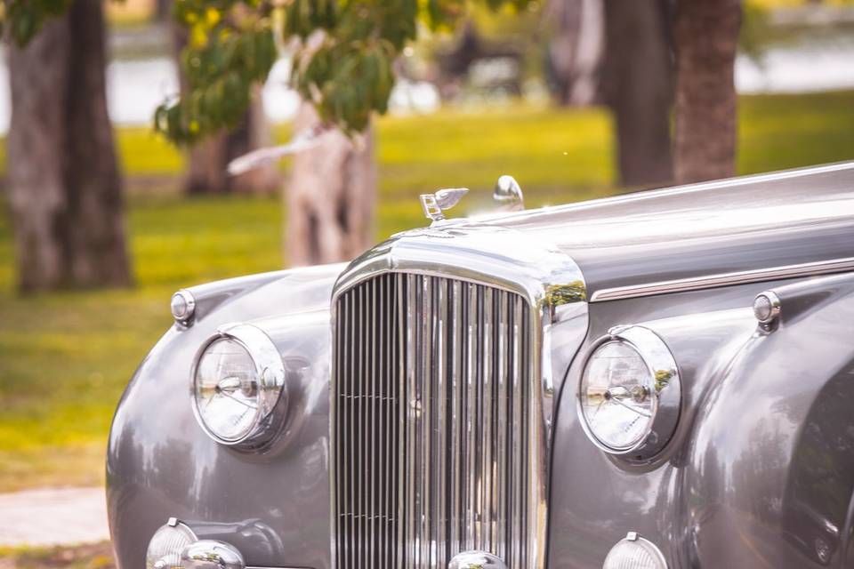 Bentley S1 1958