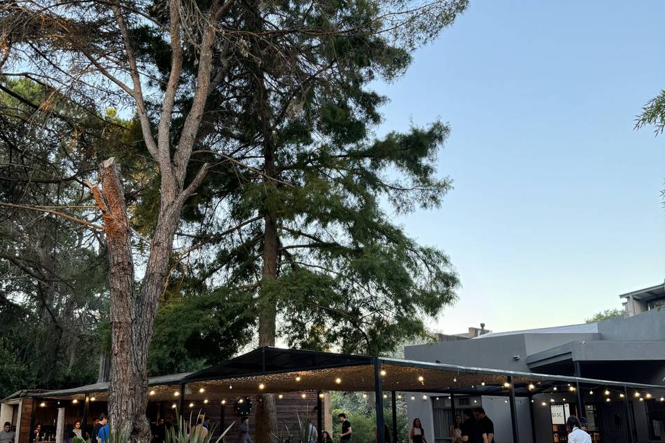 Galería