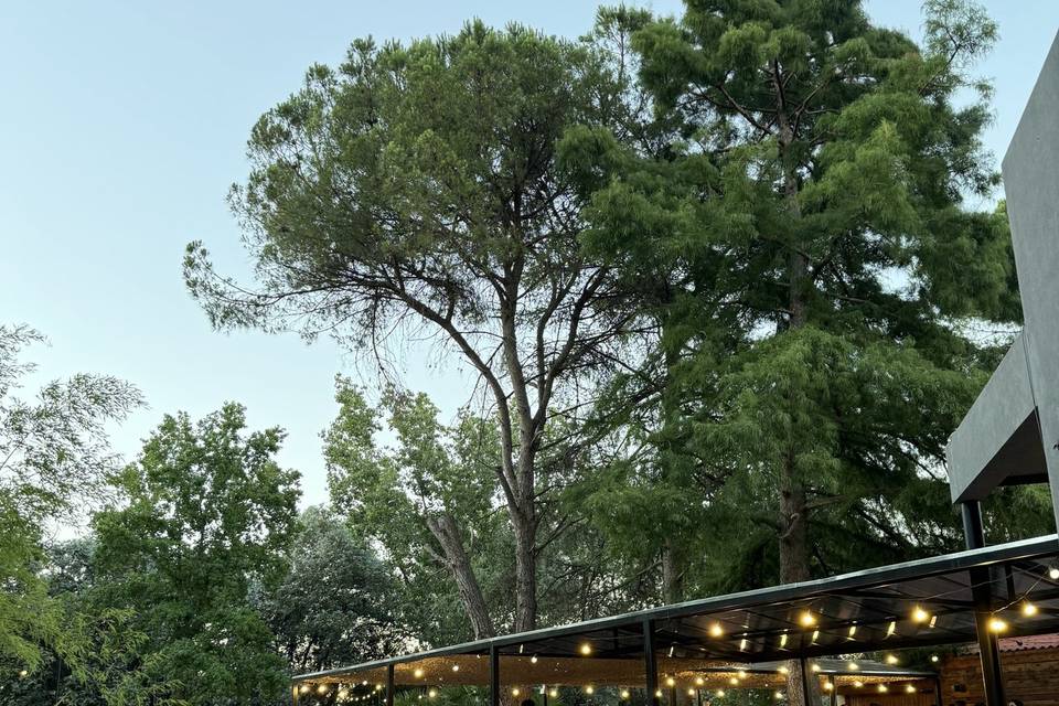 Galería
