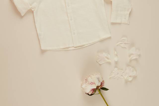 Camisa de lino archie