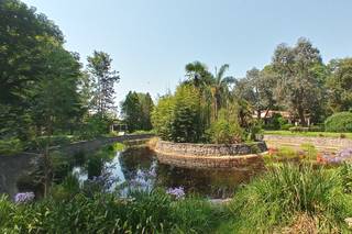 Finca El Milagro 1