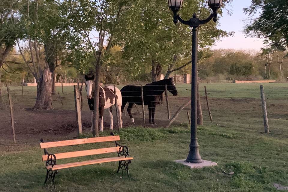 Potrero y farola