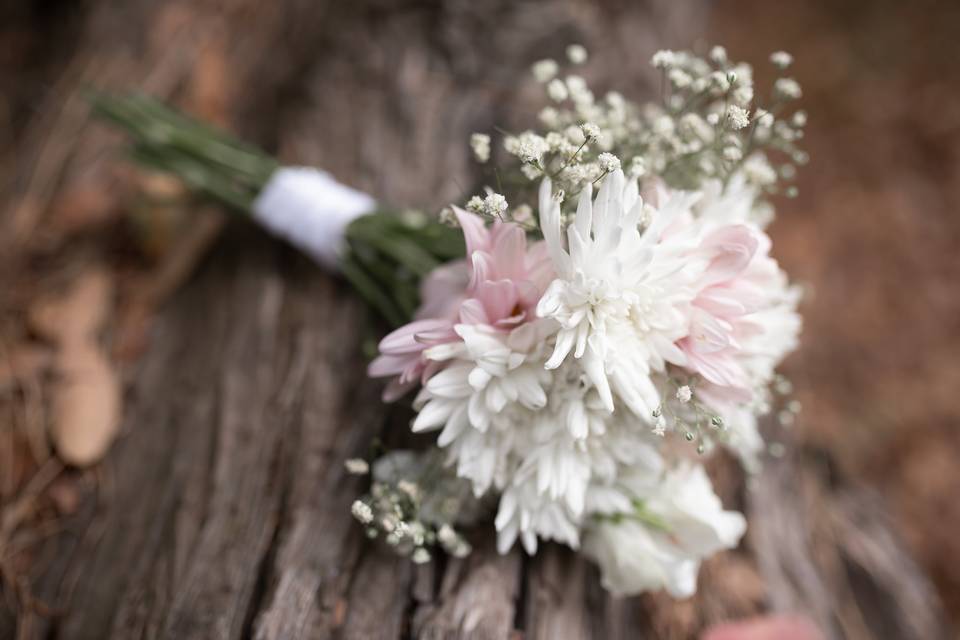 Casamiento Brisa & Colo