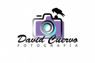 David Cuervo Studio