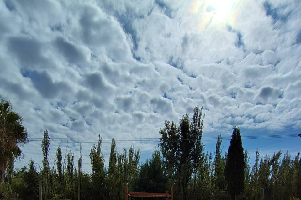 ALFOMBRA