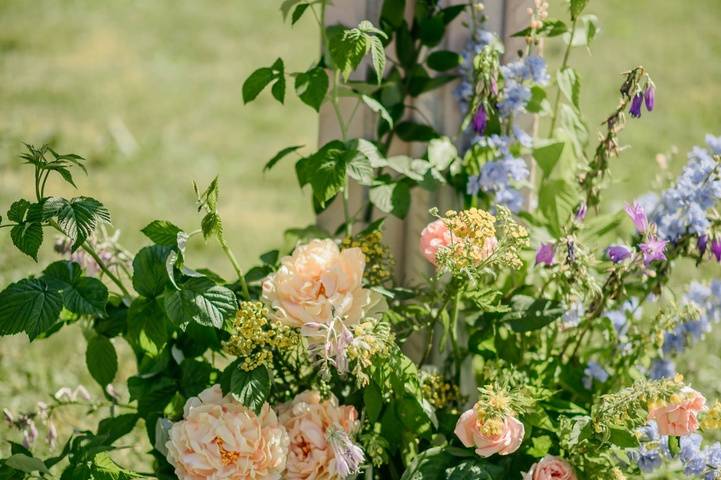 Elena Las Flores