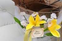 Deco Eventos