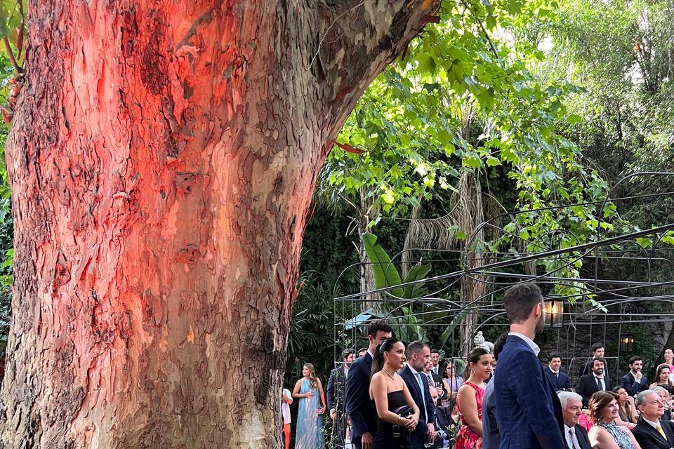 Ceremonia en el jardin