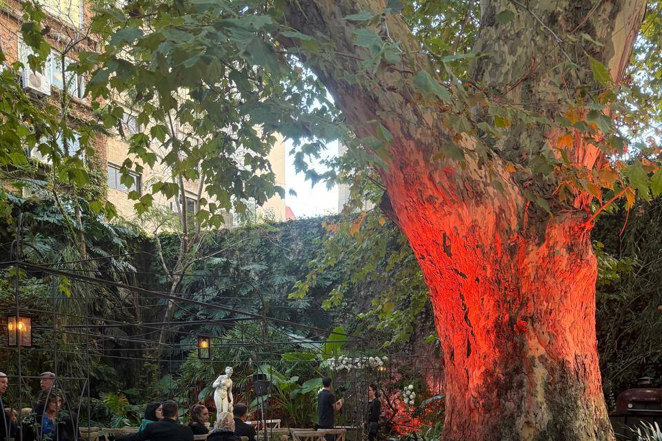 Ceremonia en el jardin
