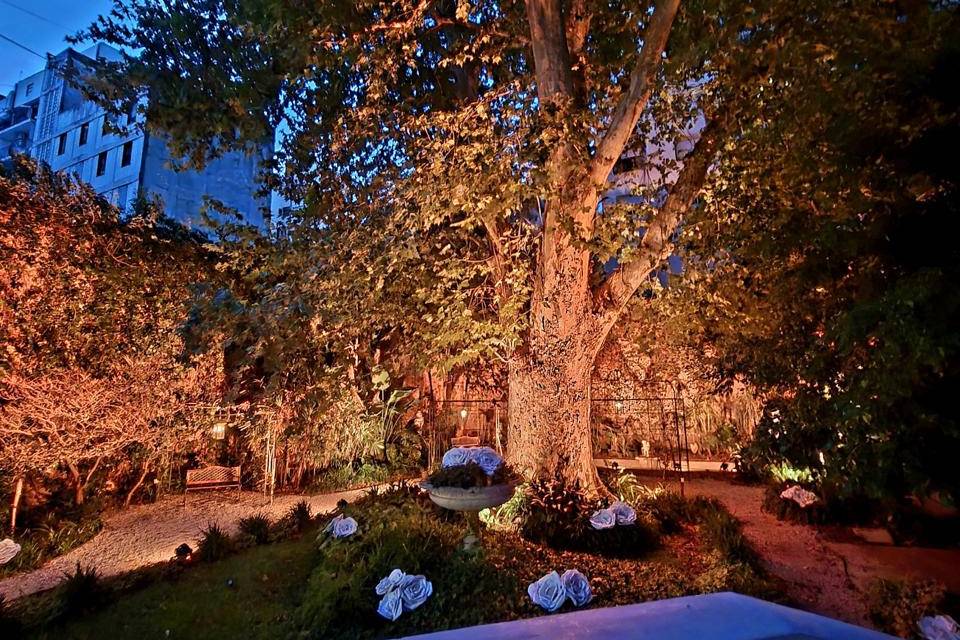 Anocheciendo en el jardín