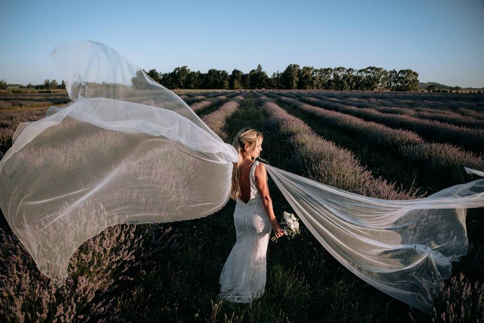 Bodas - ph: Rossi