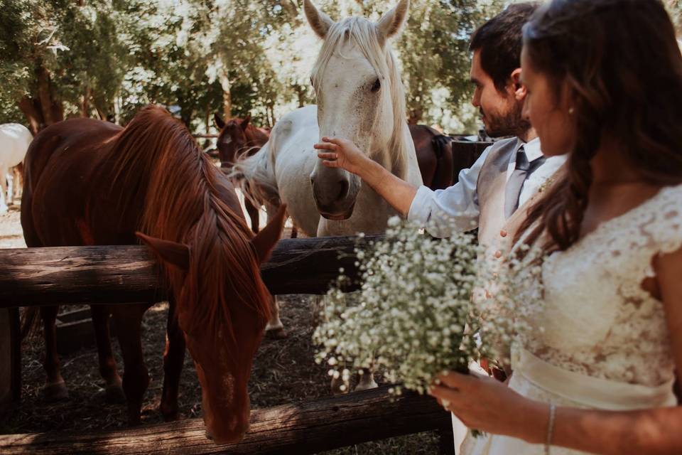 Casamiento en Córdoba Capital