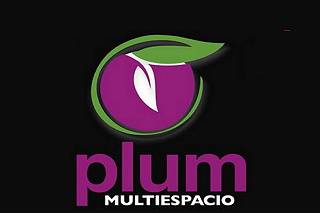 Grupo Plum Multiespacio logo