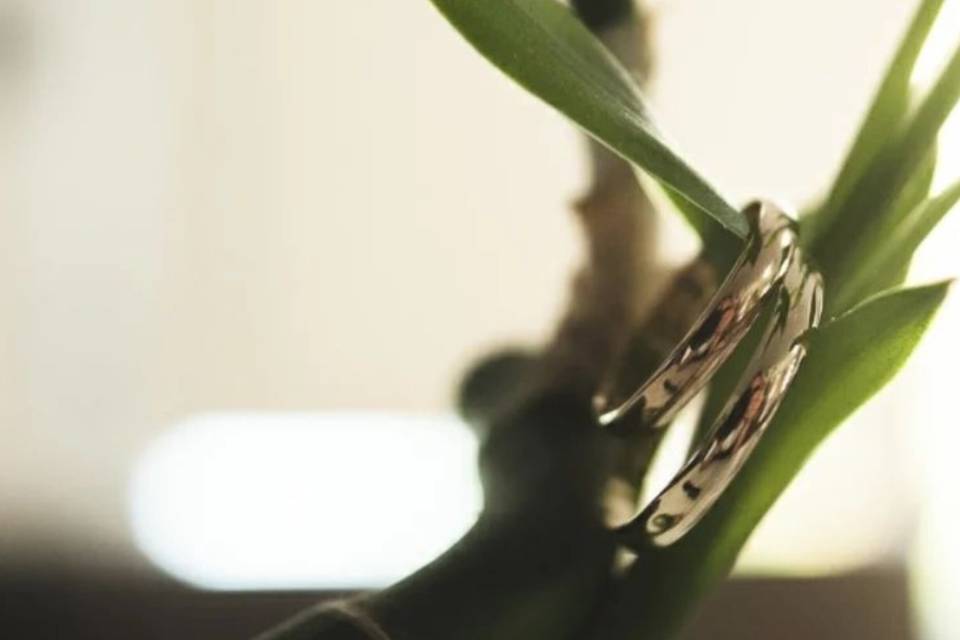 Anillos en un tallo de flor